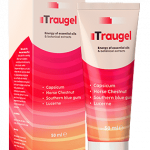 Traugel